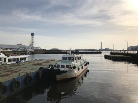 フェリーターミナルでのヘチ釣り釣果（夜は強風渋いながらも小キビレチヌ、明けてアブシン釣果有り）